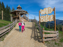 Waidblick am Wilden Berg in Mautern | © Harald Steiner