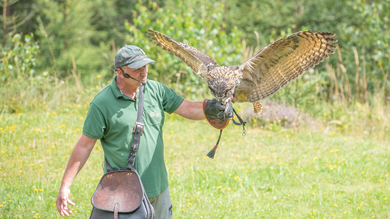 Falkner Rudi bei der Greifvogelflugschau | © Tintimax Photography